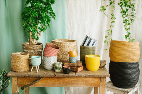 Cache-pot pour plante