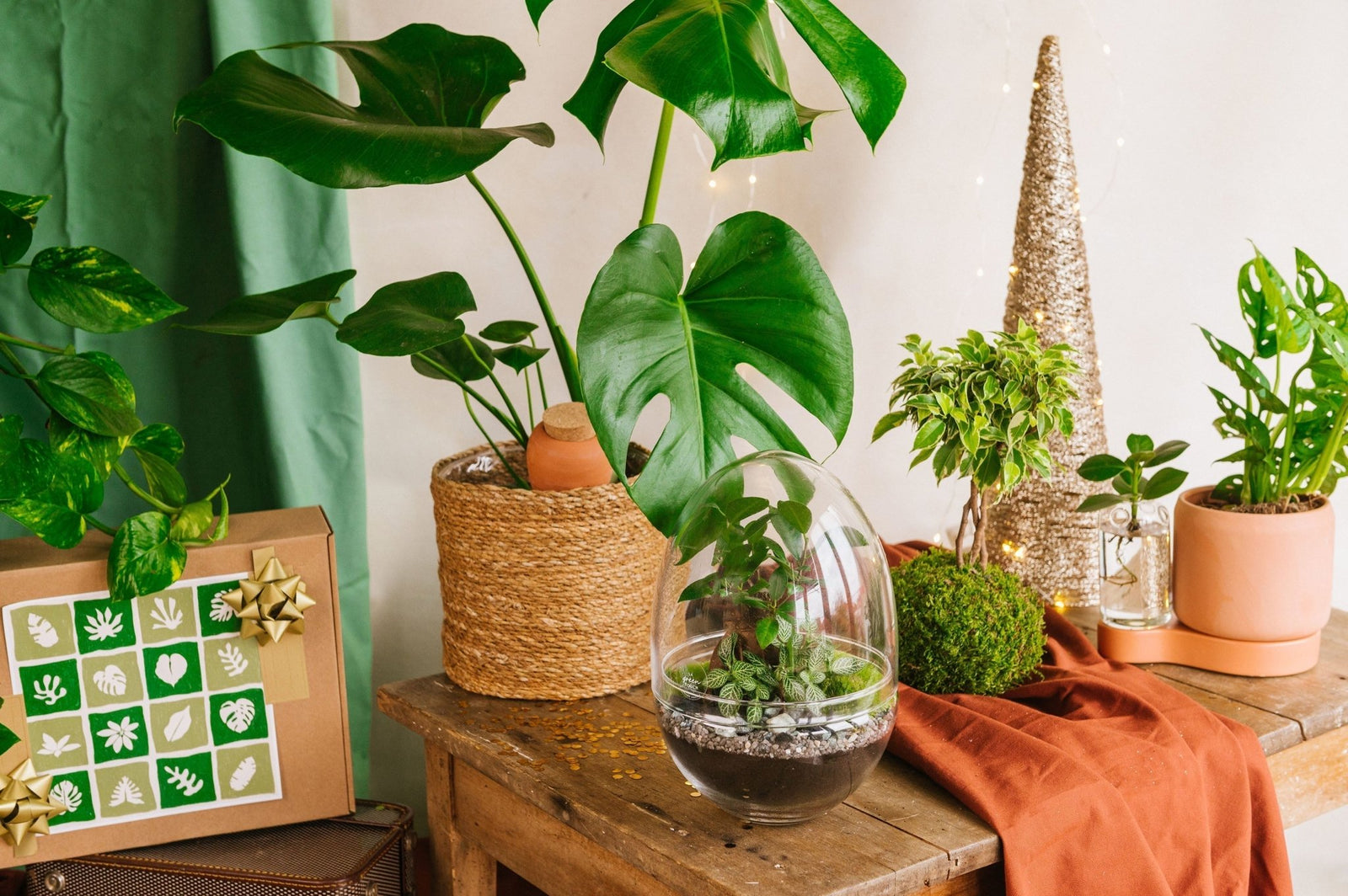 🎄 10 idées cadeaux green pour un Noël éco-responsable - La Green Touch