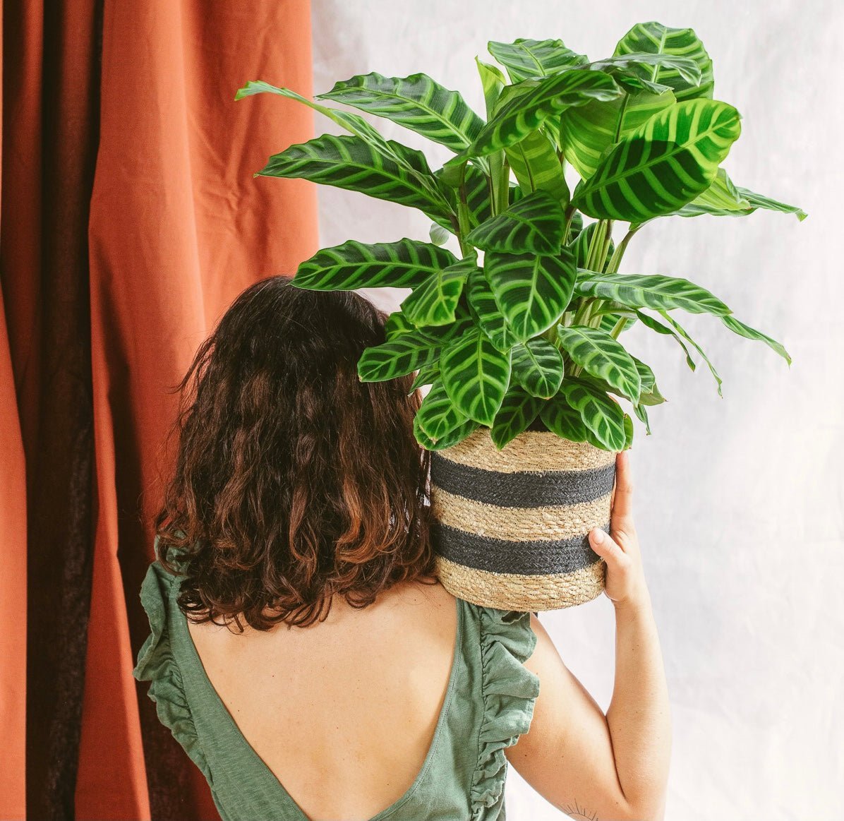 Summer Green - La Green Touch