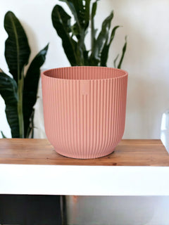 Cache-Pot Elho Rose - D25 x H23