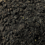 Livraison plante Culvita - Potgrond Specia a rencontré 6 mois de nutritions 40 litres - terre de rempotage premium pour les plantes intérieures et extérieures - avec des nutritions d'Easycoat