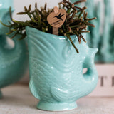 Livraison plante Orchidée Amabilis Blanche et Crassula Hobbit avec Pots Turquoise