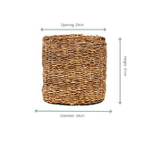 Livraison plante Panier Ido - 34x31