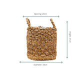 Livraison plante Panier Jack - 34x31