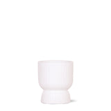 Livraison plante Pot Décoratif Diabolo Blanc