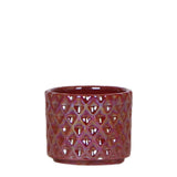 Livraison plante Pot Diamond Pearl Rouge
