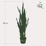 Livraison plante Sanseveria Black Coral plante artificielle - h97cm, Ø12cm