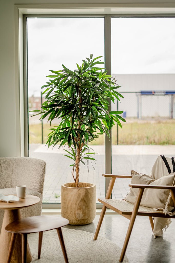 Plantes artificielles