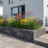 Pack Massif Plein Soleil Rose & Violet - 30 plantes — photo 5