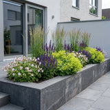 Pack Massif Soleil & Mi-Ombre Rose & Blanc (Géranium Vivace) - 30 plantes — photo 5