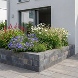 Pack Massif Soleil & Mi-Ombre Rose & Blanc (Géranium Vivace) - 30 plantes #3 — photo 5