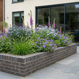 Pack Massif Soleil & Mi-Ombre Violet & Bleu - 30 plantes — photo 5