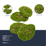 Mousse Plate plante artificielle