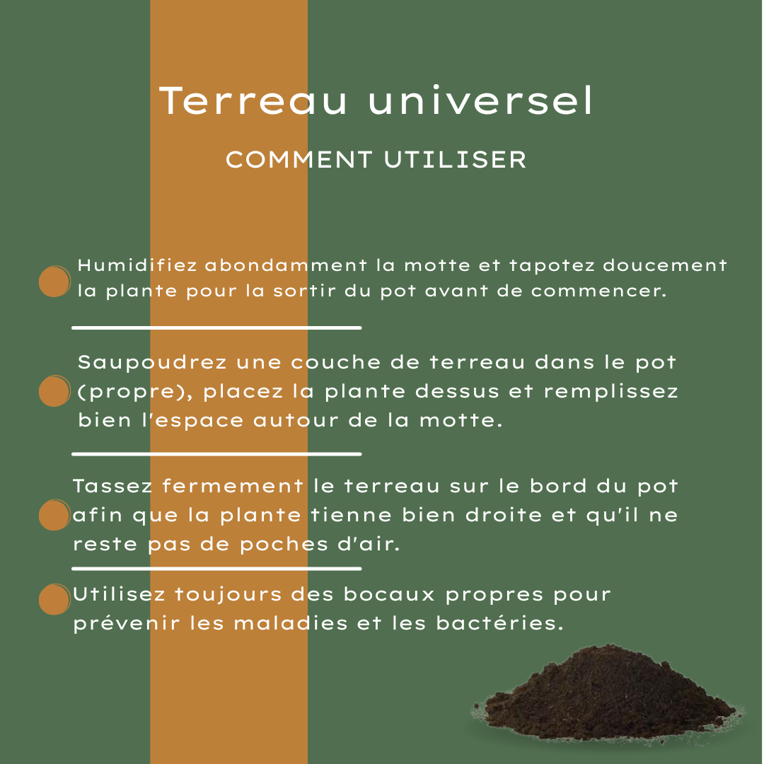 Terreau universel 30 litres – Pour plantes d'intérieur et d'extérieur
