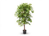 Ficus Haut de Gamme plante artificielle