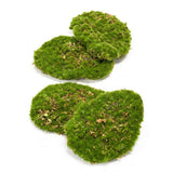 Mousse Plate plante artificielle