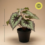 Begonia plante artificielle