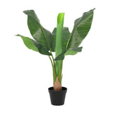 Bananier Musa plante artificielle