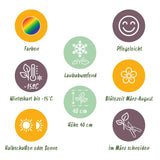 Kit de vivaces couvre-sol - 24 plants pour 3 m² - H 25 cm, pot Ø11 cm