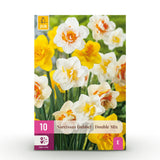 Narcisse double en mélange - calibre 12/14