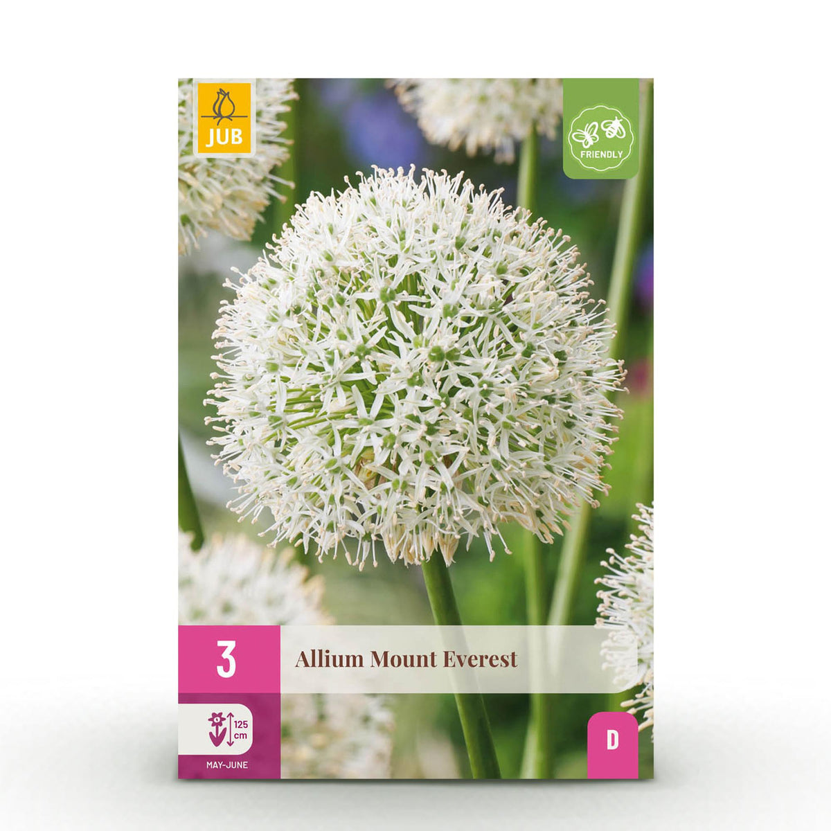 Ail d'ornement Mount Everest - calibre 16/18