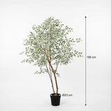Ficus Benjamina Variegata plante artificielle