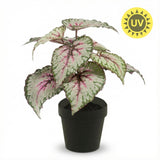 Begonia plante artificielle pot inclus