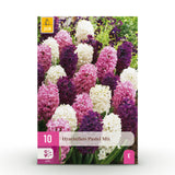 Jacinthe en mélange pastel - calibre 14/15
