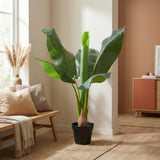 Bananier Musa plante artificielle