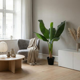 Bananier Musa plante artificielle