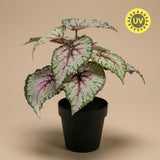 Begonia plante artificielle pot inclus