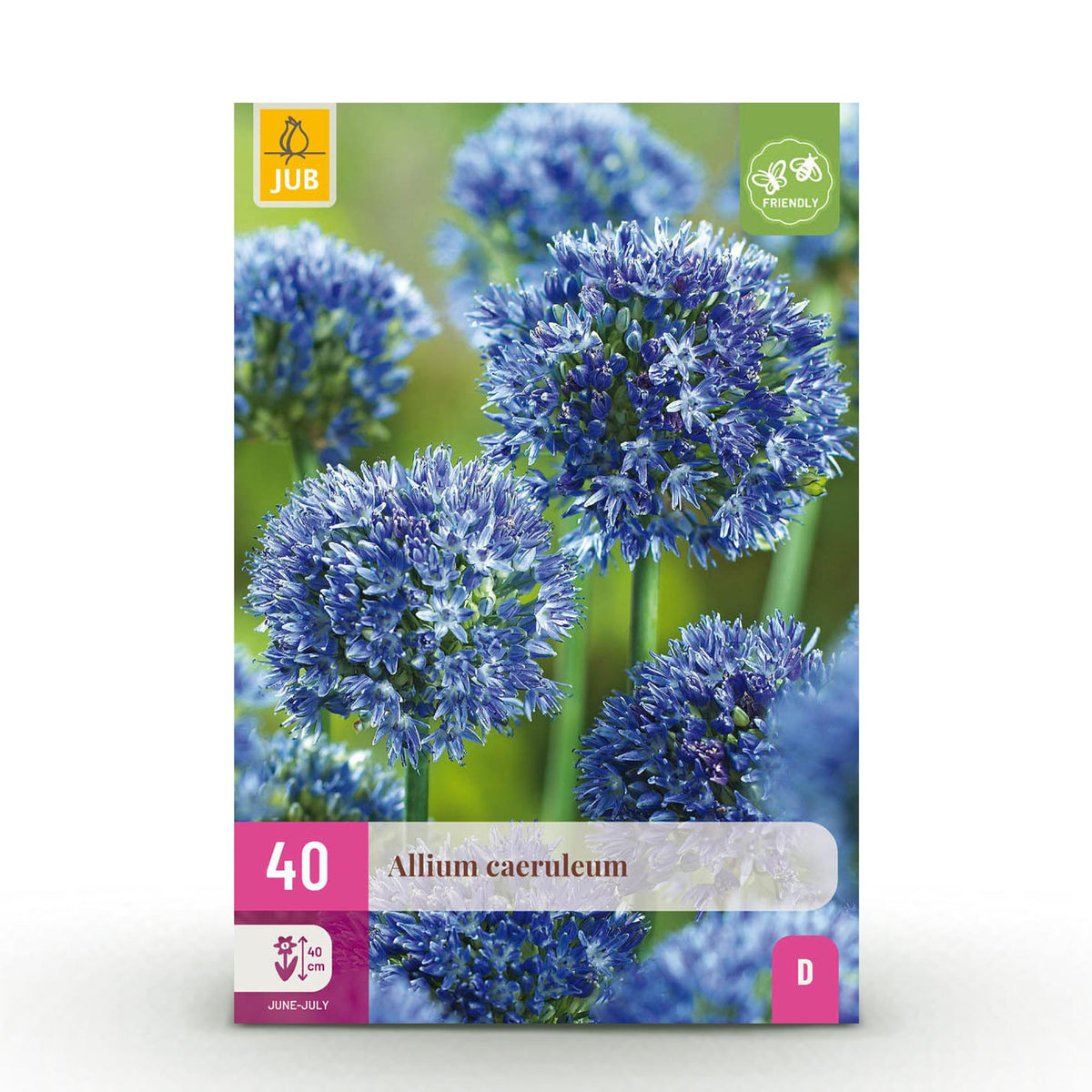 Ail d'ornement bleu - calibre 4/5