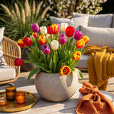 Tulipe triomphe en mélange - calibre 11/12
