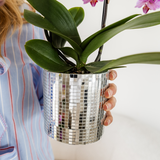 Orchidée Phalaenopsis violette Mineral Vienna avec cache-pot Disco - H 40 cm, pot Ø9 cm