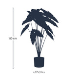 Alocasia plante artificielle