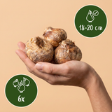 Couronne impériale en mélange