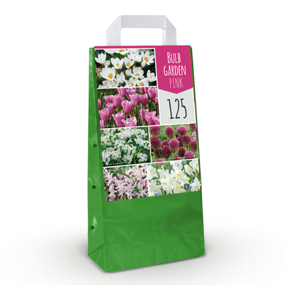 Jardin de bulbes roses en mélange - calibre 10/12