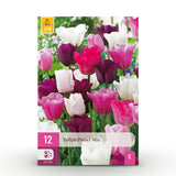 Tulipe en mélange pastel - calibre 11/12