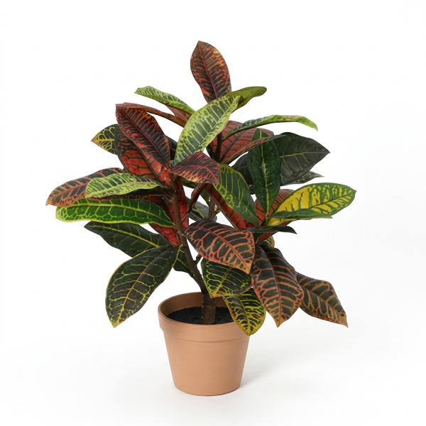 Croton Codiaeum plante artificielle