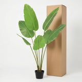Strelitzia Nicolai plante artificielle