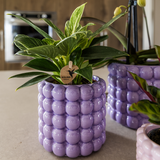 Set orchidée Lausanne blanche et plante verte - cache-pots Poppy violet - pots Ø9 et 12 cm