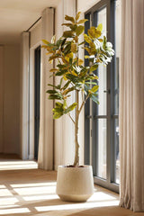 Magnolia plante artificielle