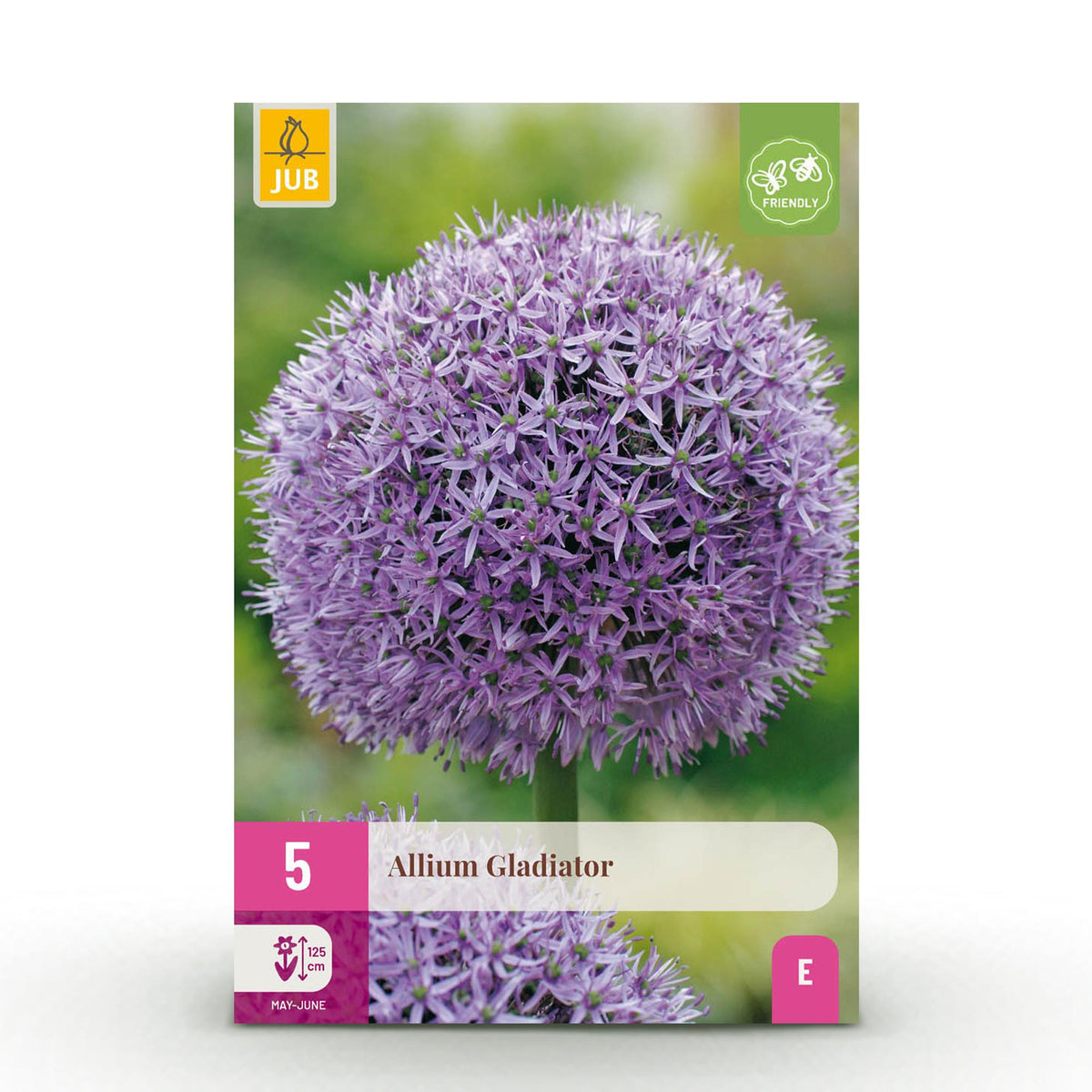 Ail d'ornement Gladiator - calibre 16/18