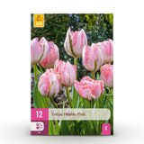 Tulipe double rose - calibre 11/12