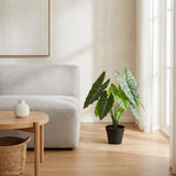 Alocasia Polly plante artificielle