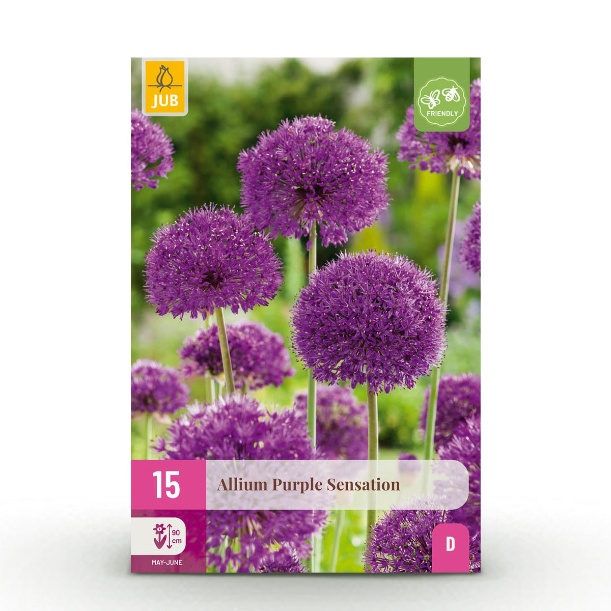 Ail d'ornement Purple Sensation - calibre 10/12