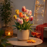 Tulipe en mélange Flaming Beauty - calibre 11/12