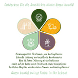 Ail d'ornement Purple Sensation - calibre 10/12