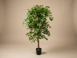 Ficus Haut de Gamme plante artificielle