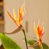 Oiseau du Paradis en Pot plante artificielle